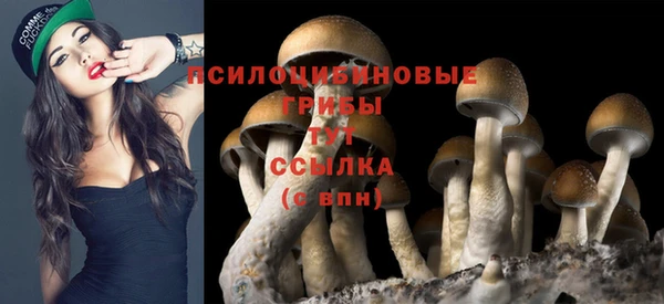 соль ск Белокуриха