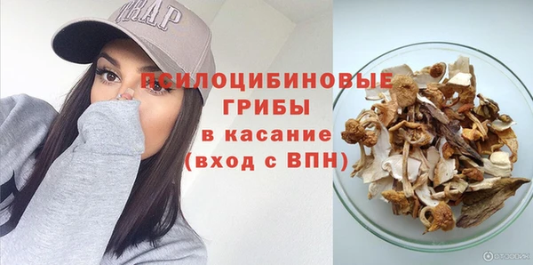 соль ск Белокуриха